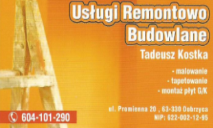 USŁUGI BUDOWLANE TADEUSZ KOSTKA